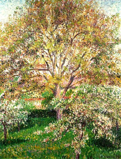 Alberi in fiore a Eragny, 1895 da Camille Jacob Pissarro